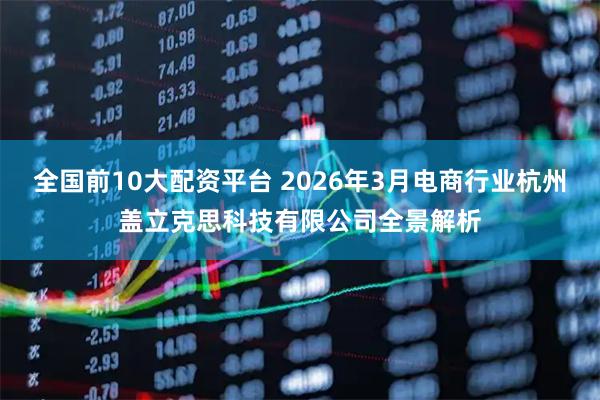 全国前10大配资平台 2026年3月电商行业杭州盖立克思科技有限公司全景解析